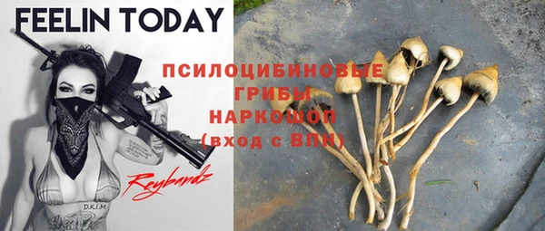гидра Наволоки